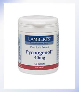 Lamberts Pycnogenol 40mg (8550)