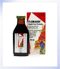 Floradix Liquid Iron Formula