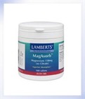 Lamberts MagAsorb 180 Tablets (8239)